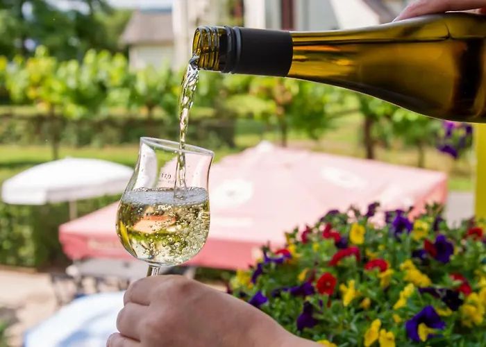 Landgasthaus Kaster Гостевой дом 3*